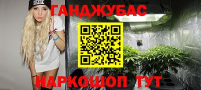 кокс Гай