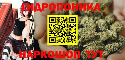 герыч Гатчина